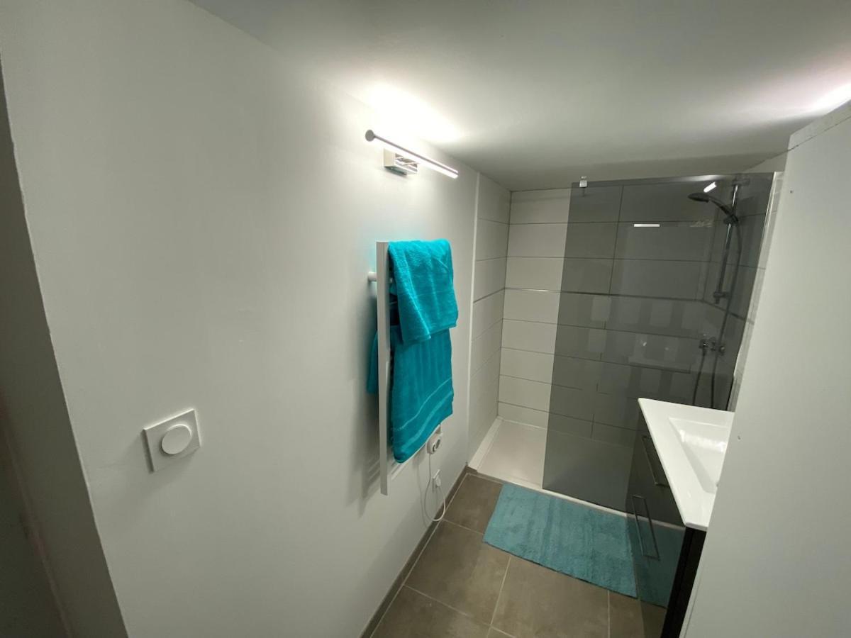 Superbe Appartement Climatise Avec Patio Montpellier Eksteriør billede