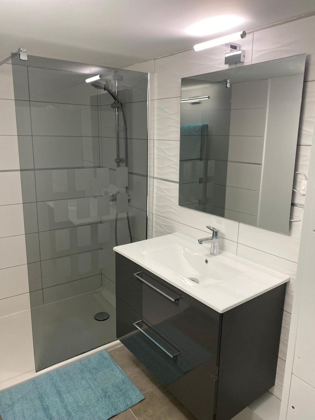 Superbe Appartement Climatise Avec Patio Montpellier Eksteriør billede